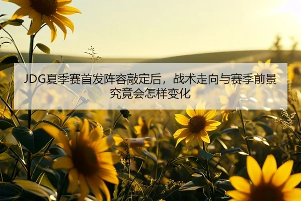 JDG夏季赛首发阵容敲定后，战术走向与赛季前景究竟会怎样变化